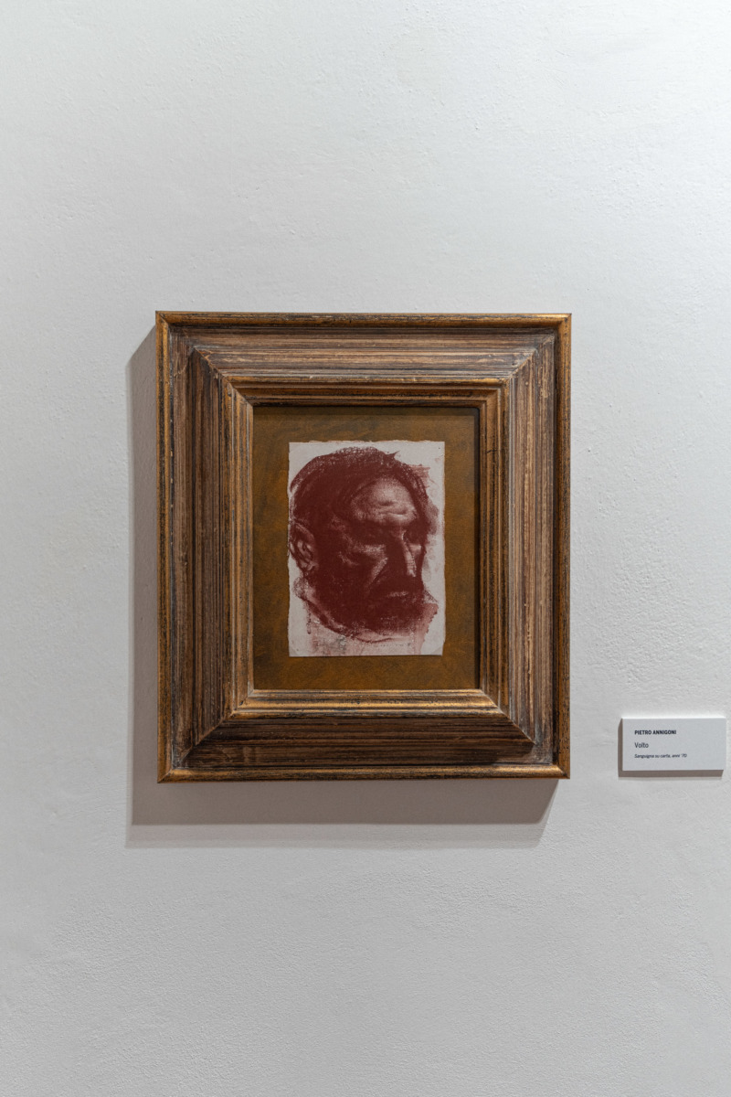 Pietro Annigoni - Volto