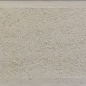 Giulio Turcato - Iridescent white