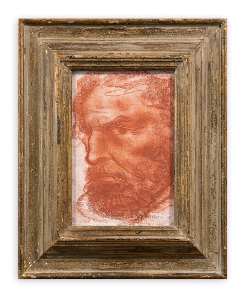 Pietro Annigoni - Volto