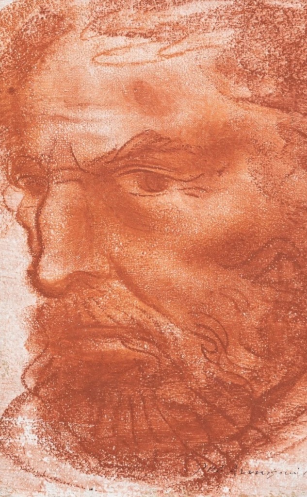 Pietro Annigoni - Volto